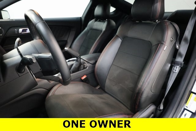 Ford Mustang Vehicle Image 08