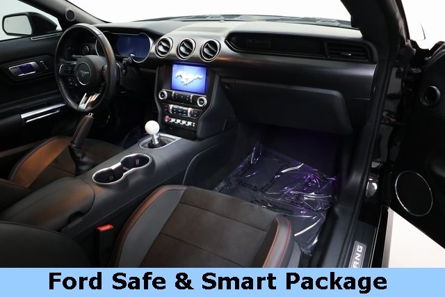 Ford Mustang Vehicle Image 11