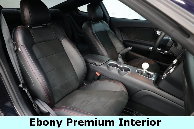 Ford Mustang Vehicle Image 12