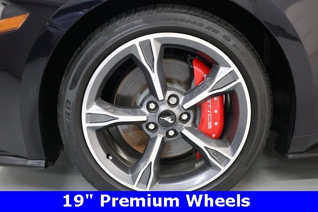 Ford Mustang Vehicle Image 38