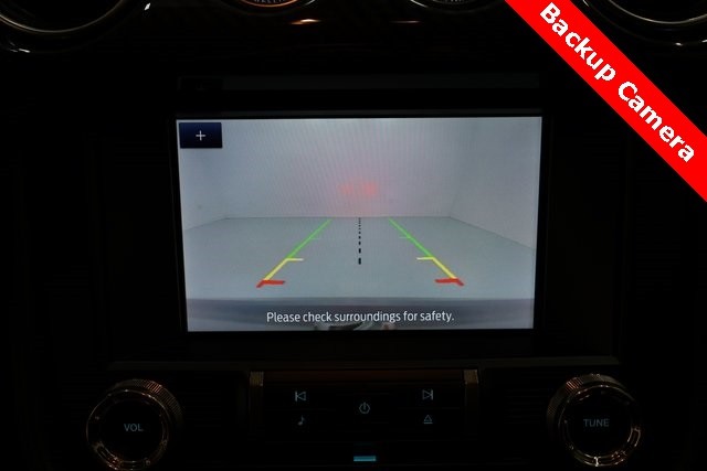 Ford Mustang Vehicle Image 19