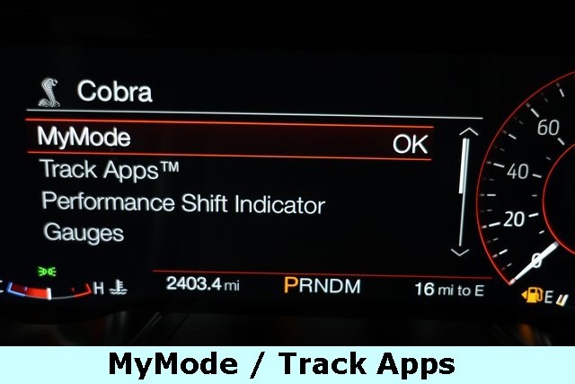 Ford Mustang Vehicle Image 29