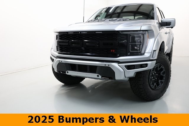 Ford F-150 Vehicle Image 04