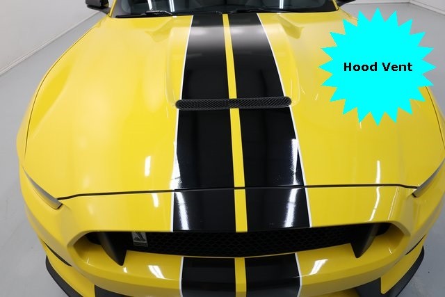 Ford Mustang Vehicle Image 40