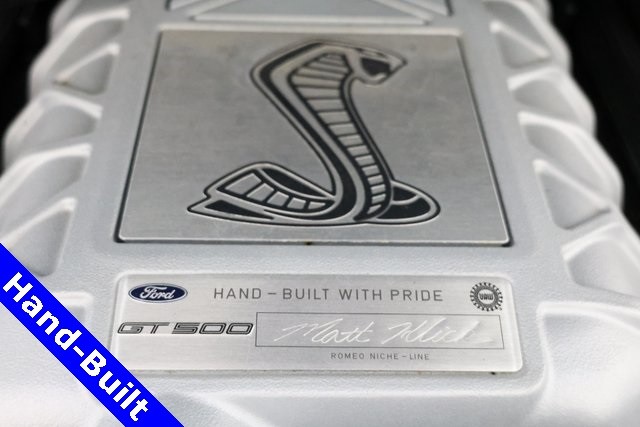 Ford Mustang Vehicle Image 06