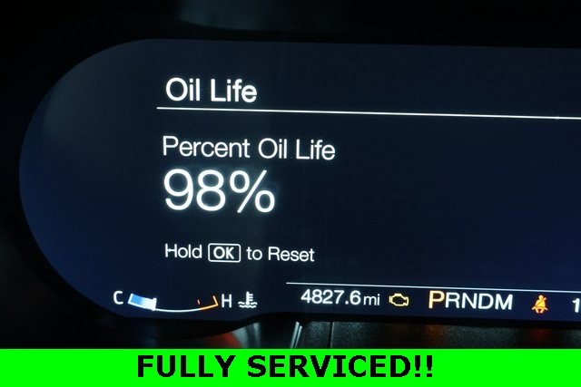 Ford Mustang Vehicle Image 08