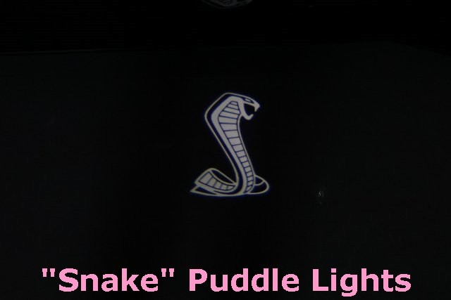 Ford Mustang Vehicle Image 32