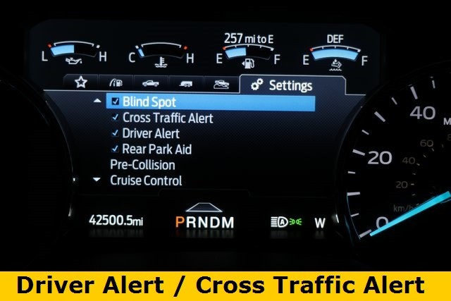 Ford Super Duty F-250 SRW Vehicle Image 30