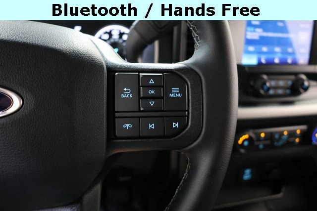 Ford F-150 Vehicle Image 28