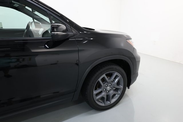 Honda Passport Vehicle Image 49