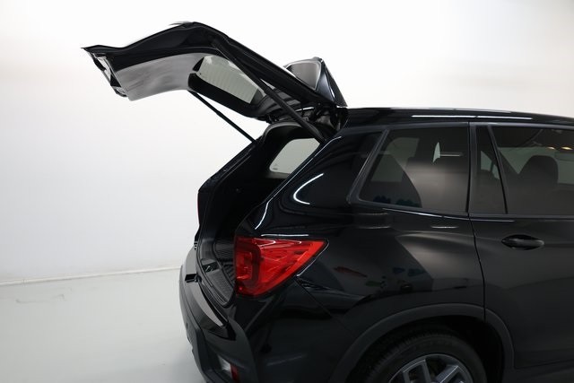 Honda Passport Vehicle Image 50