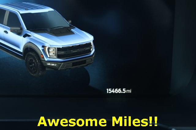 Ford F-150 Vehicle Image 04