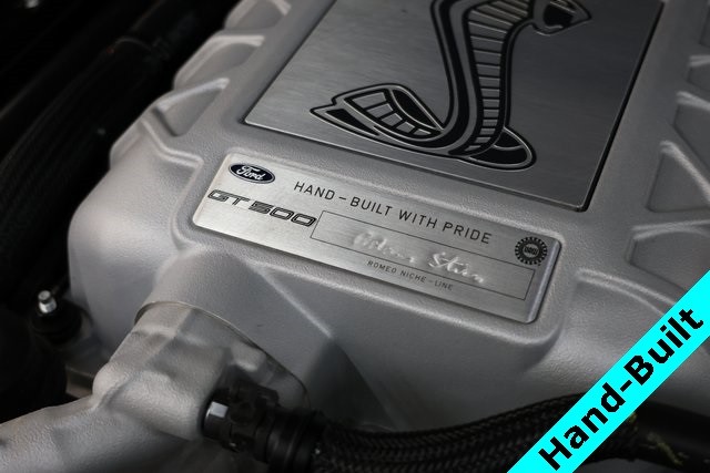Ford Mustang Vehicle Image 07