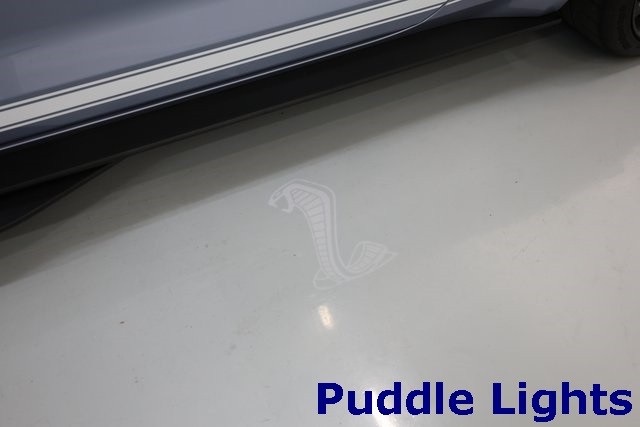 Ford Mustang Vehicle Image 32