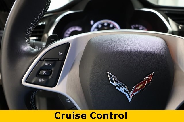 Chevrolet Corvette Vehicle Image 38