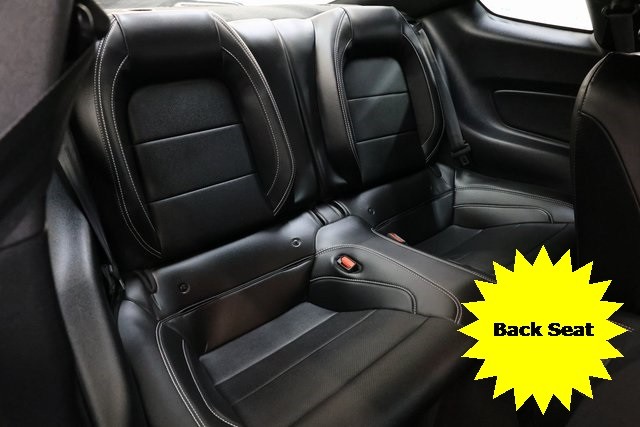 Ford Mustang Vehicle Image 15