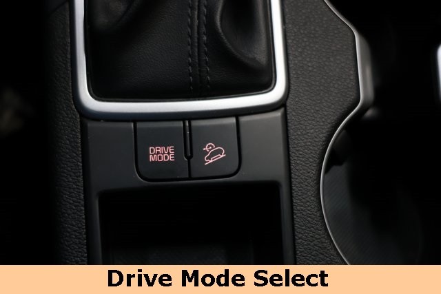Kia Sportage Vehicle Image 15