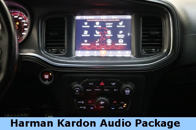 Dodge Charger Vehicle Image 14