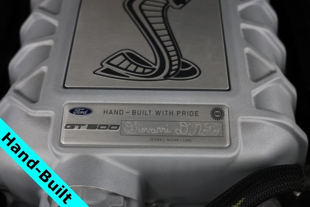 Ford Mustang Vehicle Image 04