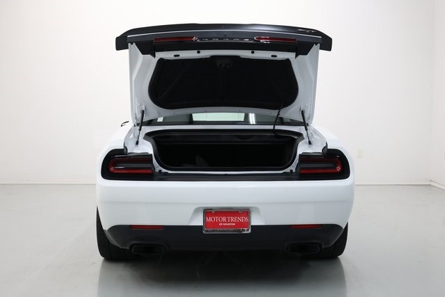 Dodge Challenger Vehicle Image 49