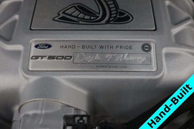 Ford Mustang Vehicle Image 03
