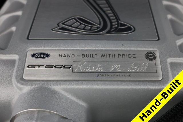Ford Mustang Vehicle Image 04