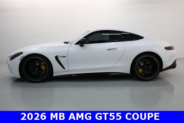 Mercedes-Benz AMG GT Vehicle Image 03