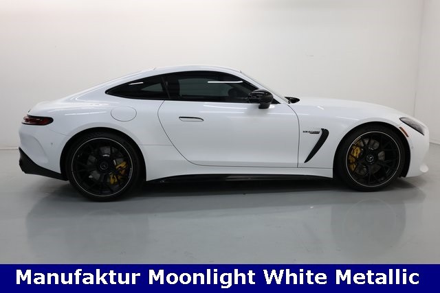Mercedes-Benz AMG GT Vehicle Image 04