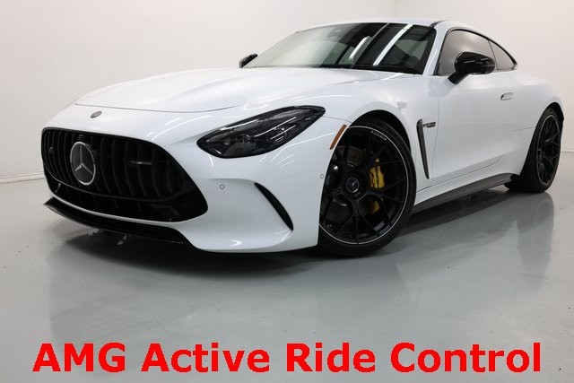 Mercedes-Benz AMG GT Vehicle Image 19