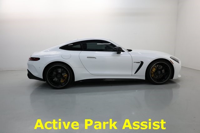 Mercedes-Benz AMG GT Vehicle Image 29