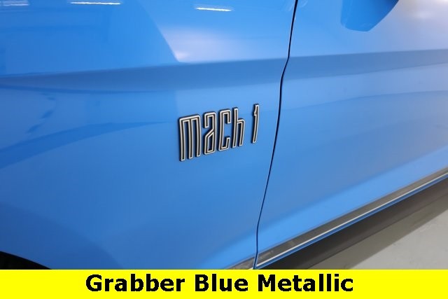 Ford Mustang Vehicle Image 04