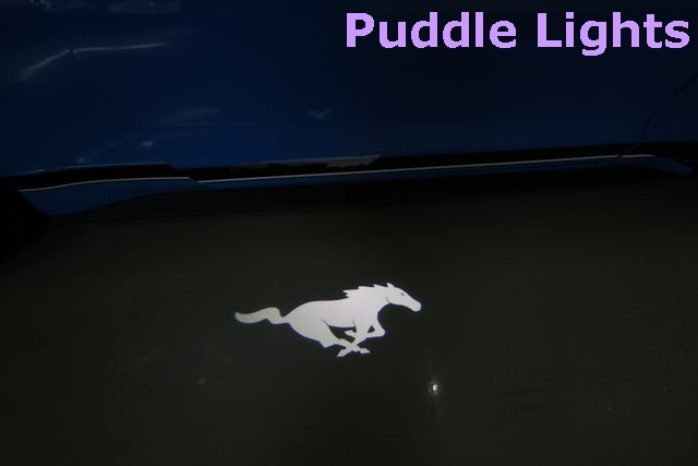 Ford Mustang Vehicle Image 29