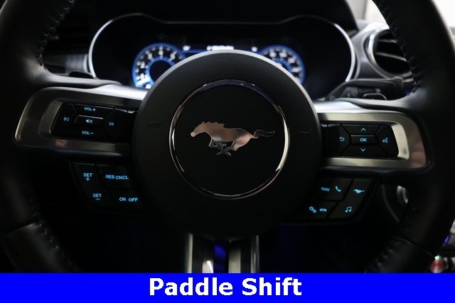 Ford Mustang Vehicle Image 36