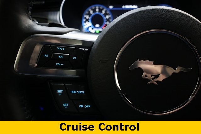 Ford Mustang Vehicle Image 38