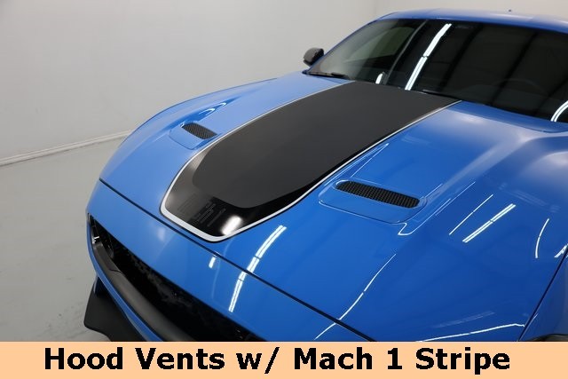Ford Mustang Vehicle Image 43