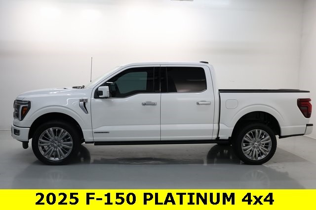 Ford F-150 Vehicle Image 03