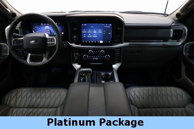 Ford F-150 Vehicle Image 09