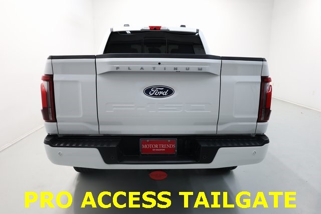 Ford F-150 Vehicle Image 12