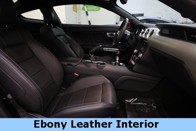 Ford Mustang Vehicle Image 11