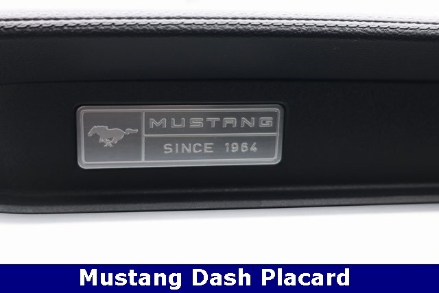 Ford Mustang Vehicle Image 13