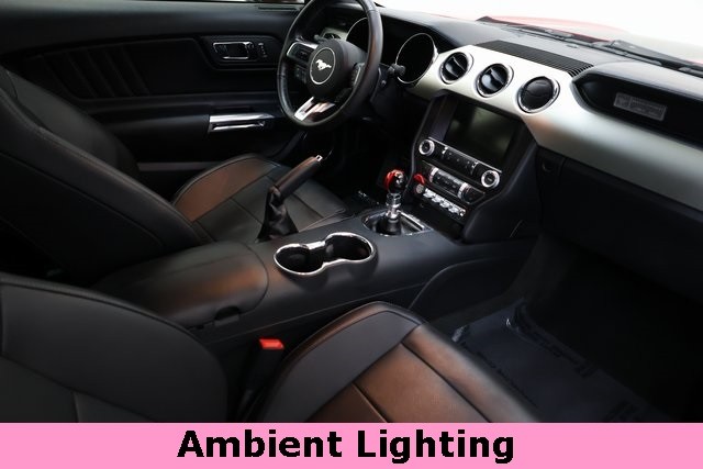 Ford Mustang Vehicle Image 22