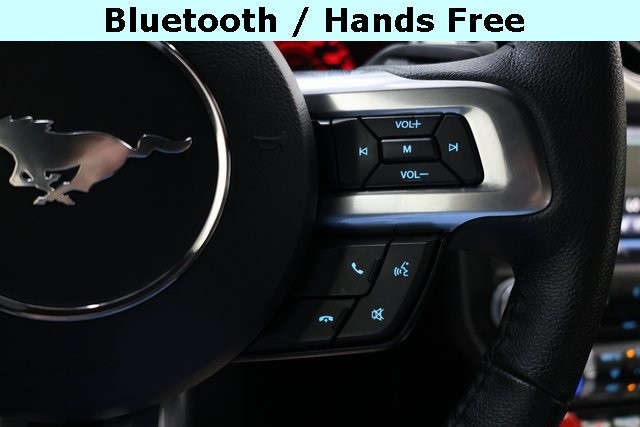 Ford Mustang Vehicle Image 30