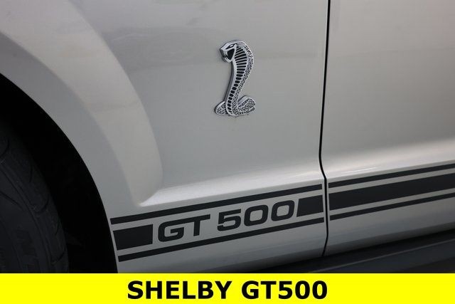 Ford Mustang Vehicle Image 03