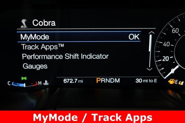 Ford Mustang Vehicle Image 33
