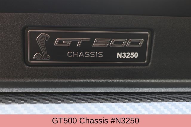 Ford Mustang Vehicle Image 06