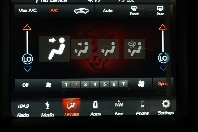 Dodge Challenger Vehicle Image 30
