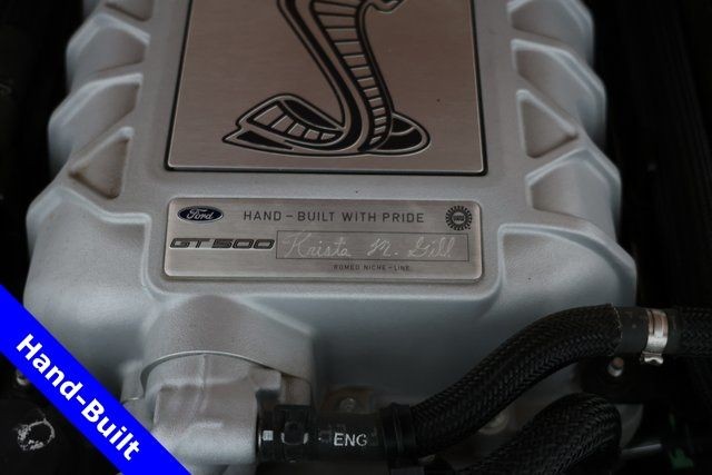 Ford Mustang Vehicle Image 04