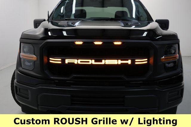 Ford F-150 Vehicle Image 11