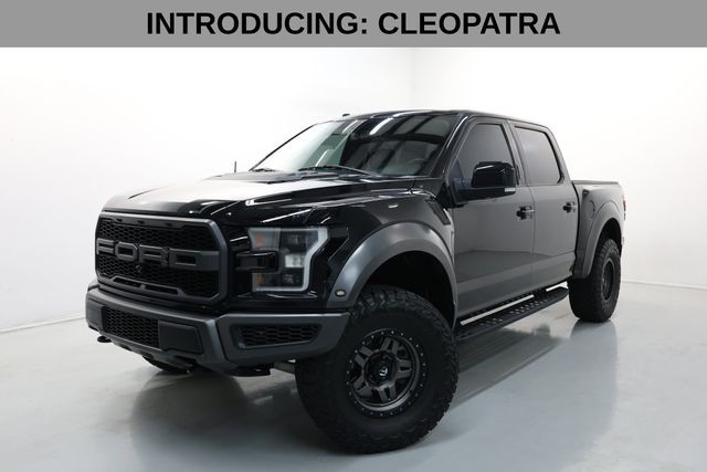 Ford F-150 Vehicle Image 02