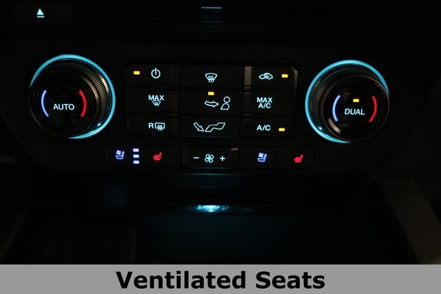Ford F-150 Vehicle Image 31